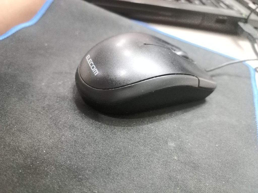 mouse