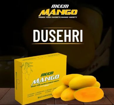 Multani Dussehri (Dasheri) Mango