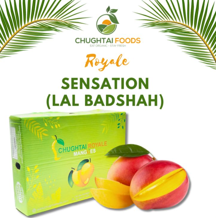 Royale Sensation (Lal Badshah)