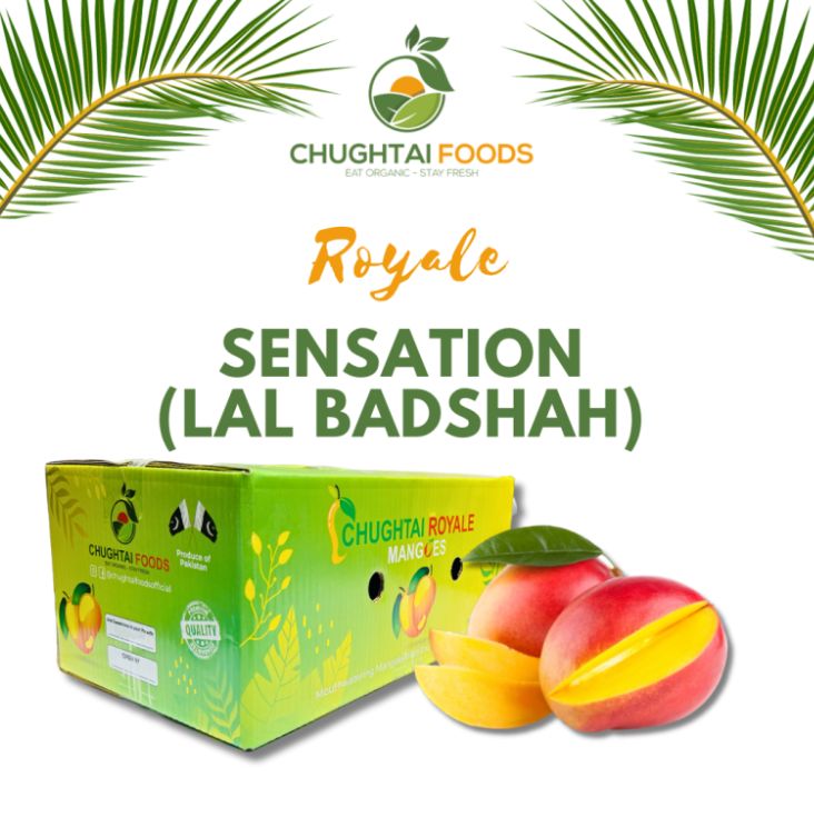 Royale Sensation (Lal Badshah) — photo 2